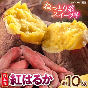 yӂ邳Ɣ[Łzg͂邩 Gi 10kg S`2LTCY@y Foodyfsz@[AYAT005]