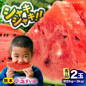 yӂ邳Ɣ[Łzy2026Ns\ ʌzyGizʂ 2 2kg`3kg F{ XCJ Z  t[c ʕ Â VV XCJ ܂ F{Y us 