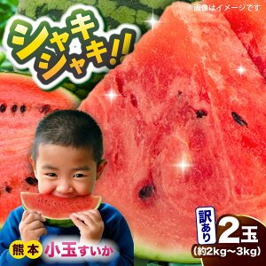 【ふるさと納税】【2026年発送分先行予約 数量限定】【訳あり】小玉すいか 2玉 約2kg〜3kg 熊本 スイカ 西瓜 小玉 フルーツ 果物 甘い シャリシャリ スイカ こだますいか 熊本県産 合志市 送料