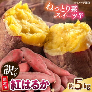 yӂ邳Ɣ[Łzy󂠂zg͂邩 5kg 2S`3LTCY y Foodyfsz[AYAT010]
