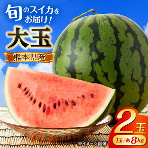 yӂ邳Ɣ[Łzy2026Ns\zyʌz Z 2ʓ (1ʖ8kgȏ×2) F{ XCJ Z  t[c ʕ Â VV XCJ ܂ F{Y u