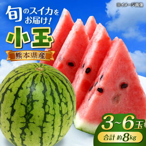 yӂ邳Ɣ[Łzy2026Ns\zyʌzܐZ 18kg (3L`M 3`6ʓ) F{ XCJ Z  t[c ʕ Â VV XCJ ܂ F{Y us 
