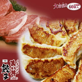 【ふるさと納税】GI認証 あか牛 100%使用 餃子 60個(20個入り×3)【くまふる合志市】[AYBC008]