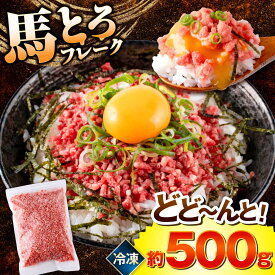 【ふるさと納税】馬とろフレーク 馬刺し 約500g 馬肉 フレーク ユッケ おつまみ 冷凍【株式会社 肉の山本】[AYBK001]熊本県 熊本 くまもと 馬刺し 馬肉 冷凍 お土産 溶ける ご飯 丼 とろける 低カロリー ヘルシー 熊本肥育 配送無料