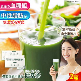 【ふるさと納税】機能性表示食品 健桑茶 2箱【株式会社 峯樹木園】 合志市 熊本県 お茶 茶 機能性表示食品 飲料 飲みもの のみもの 健康 健康維持 栄養 ダイエット 中性脂肪 血糖値 予防 BMI 国産 日本 産地直送 人気 おすすめ 日常 日用品 プレゼント 贈り物 [AYBM002]