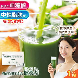 【ふるさと納税】機能性表示食品 健桑茶 1箱【株式会社 峯樹木園】 合志市 熊本県 お茶 茶 機能性表示食品 飲料 飲みもの のみもの 健康 健康維持 栄養 ダイエット 中性脂肪 血糖値 予防 BMI 国産 日本 産地直送 人気 おすすめ お勧め プレゼント 贈り物 [AYBM004]