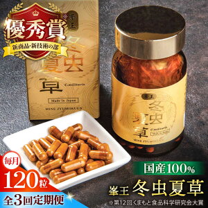 yӂ邳Ɣ[ŁzyS3ցz ~đ 120y ؉z[AYBM029]