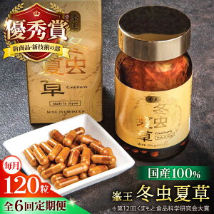 yӂ邳Ɣ[ŁzyS6ցz ~đ 120y ؉z[AYBM030]