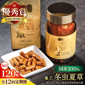 yӂ邳Ɣ[ŁzyS12ցz ~đ 120y ؉z[AYBM031]