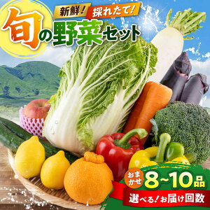 yӂ邳Ɣ[ŁzsIׂ邨͂񐔁ItyPi̔N1221܂ŁIz{̖ ܂ lߍ킹 Zbg 8`10i ؃Zbg lߍ킹  Yn Y BY 