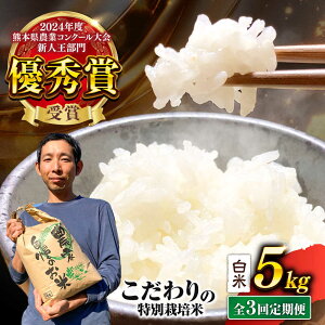 yӂ邳Ɣ[Łz yߘa7Nxz yS3ցz ܂̋P  5kg v15kg    ͂ R   F{Y Yn y{_z[AYCC027]