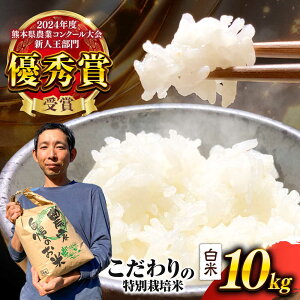 yӂ邳Ɣ[Łz yߘa7Nxz ܂̋P  10kg (1)     ͂ R   F{Y Yny{_z[AYCC035]