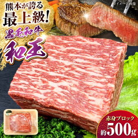 【ふるさと納税】熊本県産 A5等級 黒毛和牛 和王赤身ブロック 約500g【帝神志方ミート 株式会社】[AYCH014] 牛 肉 モモ もも 赤身 ブロック ローストビーフ 焼き肉 バーベキュー A5 和牛 国産 熊本 九州