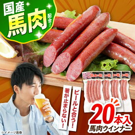 【ふるさと納税】『純国産』熊本の味「桜」 国産 馬肉 ウインナー 20本【有限会社 九州食肉産業】[AYCN125] 馬肉 ウィンナー ソーセージ 惣菜 おかず おつまみ 冷凍 熊本県 合志 合志市