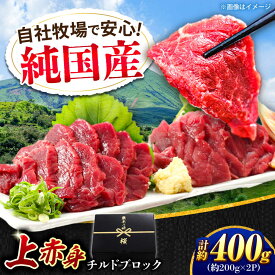 【ふるさと納税】『純国産』熊本の味 上赤身 馬刺し 計約400g（約200g×2パック）ブロック チルド 冷蔵 【有限会社 九州食肉産業】[AYCN040] 馬刺し 馬肉 馬 うま ウマ ヘルシー 国産 上赤身 赤身 低カロリー 冷凍 ギフト 贈答用 食品 合志 合志市