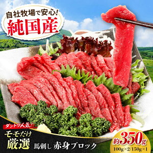 yӂ邳Ɣ[ŁzwYxF{̖ Ԑg nh 350g ubN Ⓚ ^tyL BHYƁz[AYCN043] nh n  n  E} wV[ Y VN   Ԑg ㎿ 