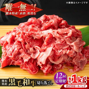 yӂ邳Ɣ[ŁzyS12ցzF{Y wc{Yx јa ؂藎Ƃ v1kgi250g×4pbNj  yL BHYƁz[AYCN047]  a Y  X^~i vRM