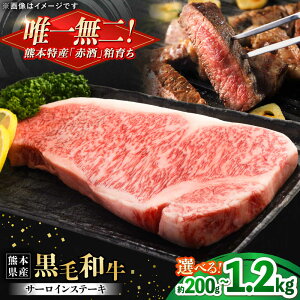 yӂ邳Ɣ[ŁzsIׂeʁItF{Y wc{Yx јa T[C Xe[L 200g`1.2kg  yL BHYƁz[AYCN048]  a Y T[CXe[L  