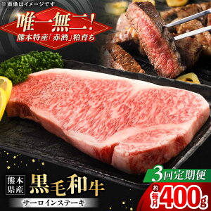 yӂ邳Ɣ[ŁzyS3ցzF{Y wc{Yx јa T[C Xe[L v400gi200g×2jyL BHYƁz[AYCN051]  a Y T[CXe[L   