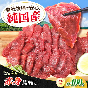 yӂ邳Ɣ[ŁzwYxF{̖ RR Ԑg nh v400gi200g×2pbN) ^tyL BHYƁz[AYCN056] nh n  n  E} wV[ Y Ԑg J[ 