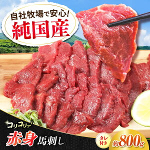 yӂ邳Ɣ[ŁzwYxF{̖ RR Ԑg nh v800gi400g×2Zbgj^tyL BHYƁz[AYCN060] nh n  n  E} wV[ Y VN Ԑg e 