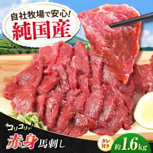 yӂ邳Ɣ[ŁzwYxF{̖ RR Ԑg nh v1.6kgi400g×4Zbgj^tyL BHYƁz[AYCN062] nh n n  E} wV[ Y Ԑg Zbg e 