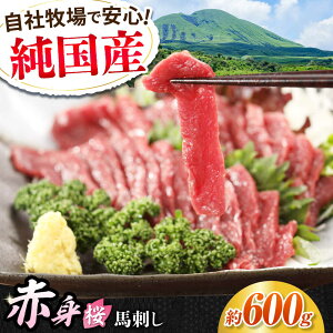 yӂ邳Ɣ[ŁzwYxF{̖uvԐg nh XCX 600g ^tyL BHYƁz[AYCN076] nh n  n  E} wV[ Y VN ㎿ J[ ^p