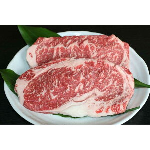 【ふるさと納税】GI くまもとあか牛ロースステーキ 約500g 冷凍 国産 牛肉 ステーキ 熊本 ロース ステーキ 赤牛 あか牛 あかうし 褐毛和種 肥後 国産 和牛 牛肉 ディナー 焼肉用 バーベキュー B