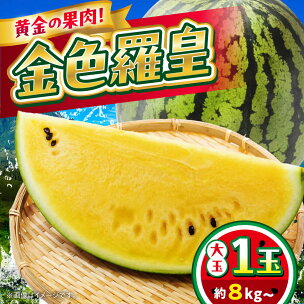 【2026年5月より発送 数量限定】すいか 金色羅皇 1玉...