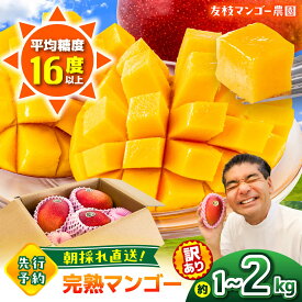【ふるさと納税】【先行予約】【2027年6月上旬から順次発送】《選べる容量！》訳あり 菊池マンゴー約1kg/約2kg L〜4Lサイズ 【友枝マンゴー農園】[AYDF001] マンゴー 完熟マンゴー 菊池マンゴー アーウィン とろける 濃厚 甘い ジューシー 南国フルーツ 高級フルーツ 訳あり