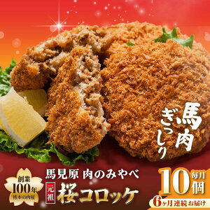 �y�ӂ邳�Ɣ[�Łz�y�S6�����ցz�F�{��� ���R���b�P �n�� �R���b�P 10�� (5��×2P)�y���݂̂�ׁz[AYDM015]