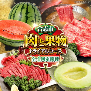 yӂ邳Ɣ[Łzys\zyS4ցzusƉʕ gCAR[X[AYZZ009]