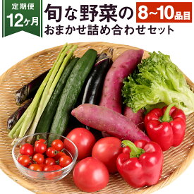 【ふるさと納税】【定期便 12か月】旬な野菜のおまかせ詰め合わせセット 8～10品目 5kg以内 毎月お届け 12カ月 旬 野菜 詰め合わせ 野菜詰め合わせ おまかせ 野菜セット セット 季節の野菜 新鮮 国産 九州産 熊本県産 送料無料