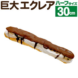 【ふるさと納税】巨大エクレアハーフ 約30cm エクレア チョコ チョコレート クリーム スイーツ 洋菓子 お菓子 おやつ デザート お取り寄せスイーツ 冷凍 九州 熊本県 合志市 送料無料