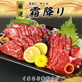 【ふるさと納税】【熊本直送】馬刺しブロック肉　霜降り(中トロ)500g(美里町)【配送不可地域：離島】【1378014】