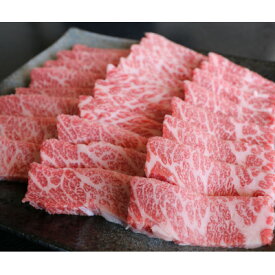 【ふるさと納税】厳選されたGI認証　くまもとあか牛　特選焼肉用　500g(美里町)【配送不可地域：離島】【1502428】