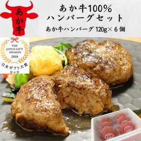 【ふるさと納税】あか牛100%ハンバーグセット(あか牛ハンバーグ120g×6個)(美里町)【配送不可地域：離島】【1542205】