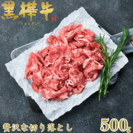 【ふるさと納税】くまもと黒毛和牛 黒樺牛 A4～A5等級 牛肉切り落とし 500g【杉本本店】(美里町)【配送不可地域：離島】【1617223】