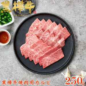 yӂ邳Ɣ[Łz܂ƍјa  A4`A5 Jr 250g×1y{{Xz()yzsnFzy1617810z