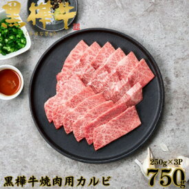【ふるさと納税】くまもと黒毛和牛 黒樺牛 A4～A5等級 牛肉カルビ 750g(250g×3)【杉本本店】(美里町)【配送不可地域：離島】【1617812】