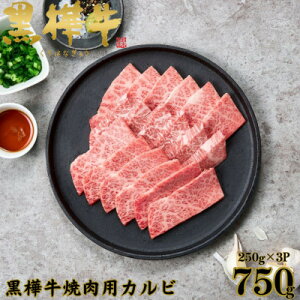 【ふるさと納税】くまもと黒毛和牛 黒樺牛 A4〜A5等級 牛肉カルビ 750g(250g×3)【杉本本店】(美里町)【配送不可地域:離島】【1617812】