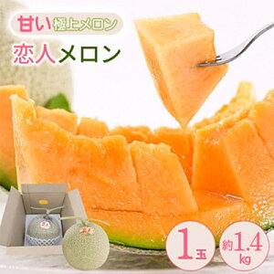 【ふるさと納税】【期間限定 数量限定】熊本県 美里町 「恋人メロン」 赤肉メロン 約1.4kg(1玉)【上田農園】【1680907】