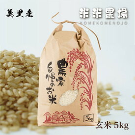 【ふるさと納税】【令和7年産】九州のお米食味コンクール2年連続優勝!熊本県美里町のお米ヒノヒカリ玄米　5kg×1袋【1681367】