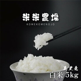 【ふるさと納税】【令和7年産】九州のお米食味コンクール2年連続優勝!熊本県美里町のお米 ヒノヒカリ 5kg×1袋【1689005】