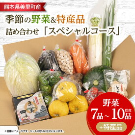 【ふるさと納税】季節の野菜 詰め合わせ「スペシャルコース」【配送不可地域：離島】【1469460】