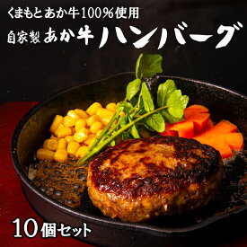 【ふるさと納税】 あか牛 ハンバーグ 10個 セット 熊本 美里町 くまもと くまもとあかうし 赤牛 畜産協同組合