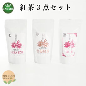 【ふるさと納税】 GABA紅茶 生姜紅茶 紅茶 3点セット 熊本 美里町 JAS認証 GABA 生姜 さえあかり 茶 ティーバック 熊本県 ティー tea bag 3点 有機認証 農薬不使用 化学肥料不使用 有機肥料