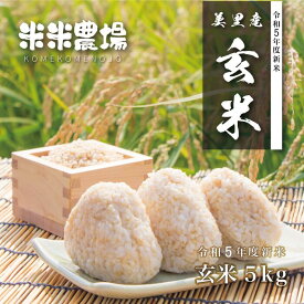 【ふるさと納税】 ヒノヒカリ 玄米 5kg 熊本 美里町