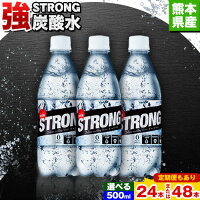 【ふるさと納税】選べる 24本 48本 500ml 定期便 あり ★強炭酸...