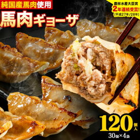 【ふるさと納税】馬肉 餃子 ギョーザ 120個 30個 × 4袋《30日以内に出荷予定(土日祝除く)》熊本県 玉東町 純国産馬肉 簡易包装 熊本肥育 ぎょうざ 馬